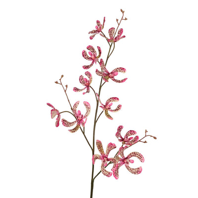 Roberts collection rama artificial orquídea vanda verde rosa 106cm