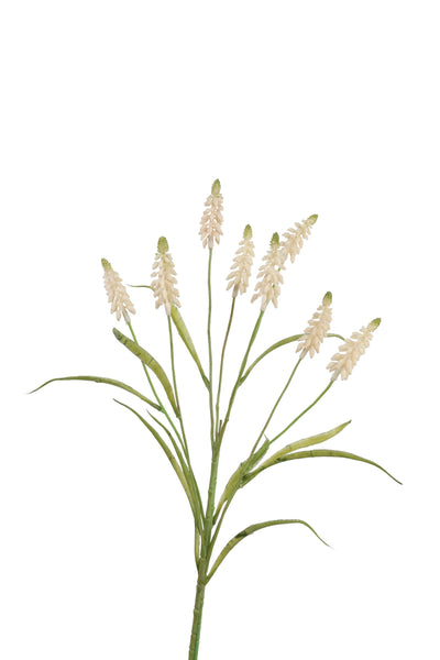 Collezione Roberts fiore artificiale uva bianca 60 cm