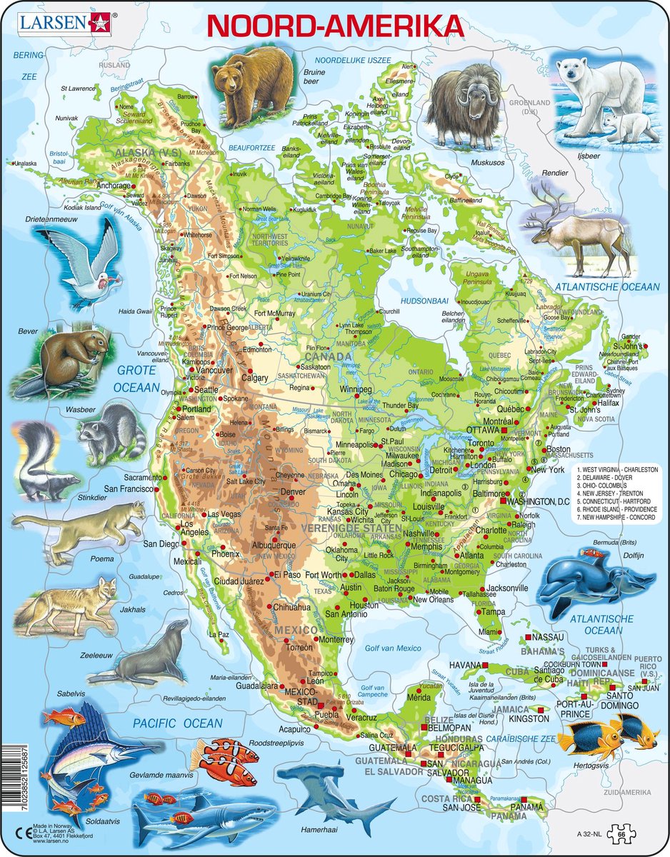Selecta Larsen Pluzzle Mapa de América del Norte Geográfico con animales, 66º.