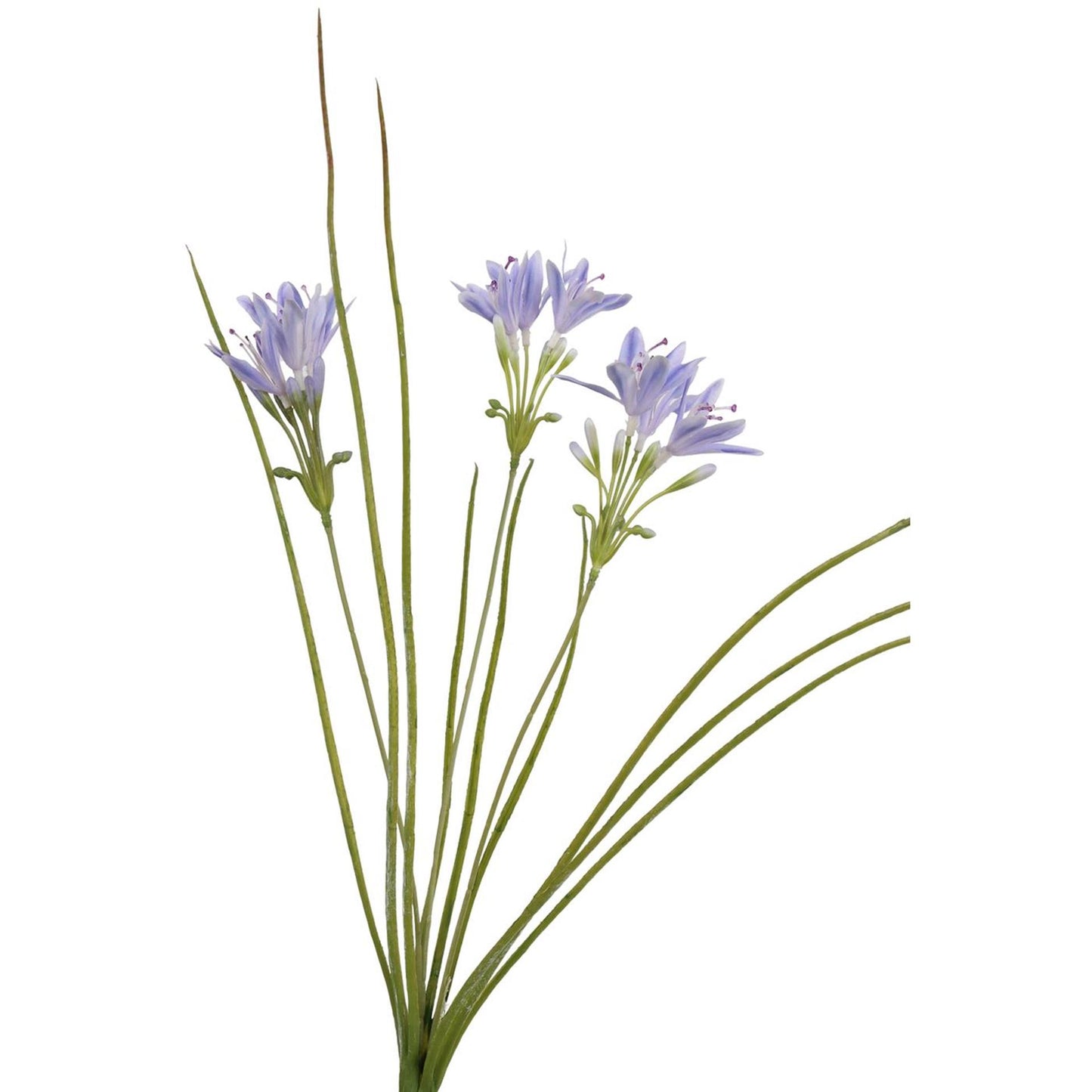 Erba artificiale collezione Roberts con fiori blu 75 cm