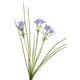 Erba artificiale collezione Roberts con fiori blu 75 cm