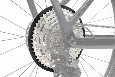 Protezioni raggi Shimano CS M6100 acide