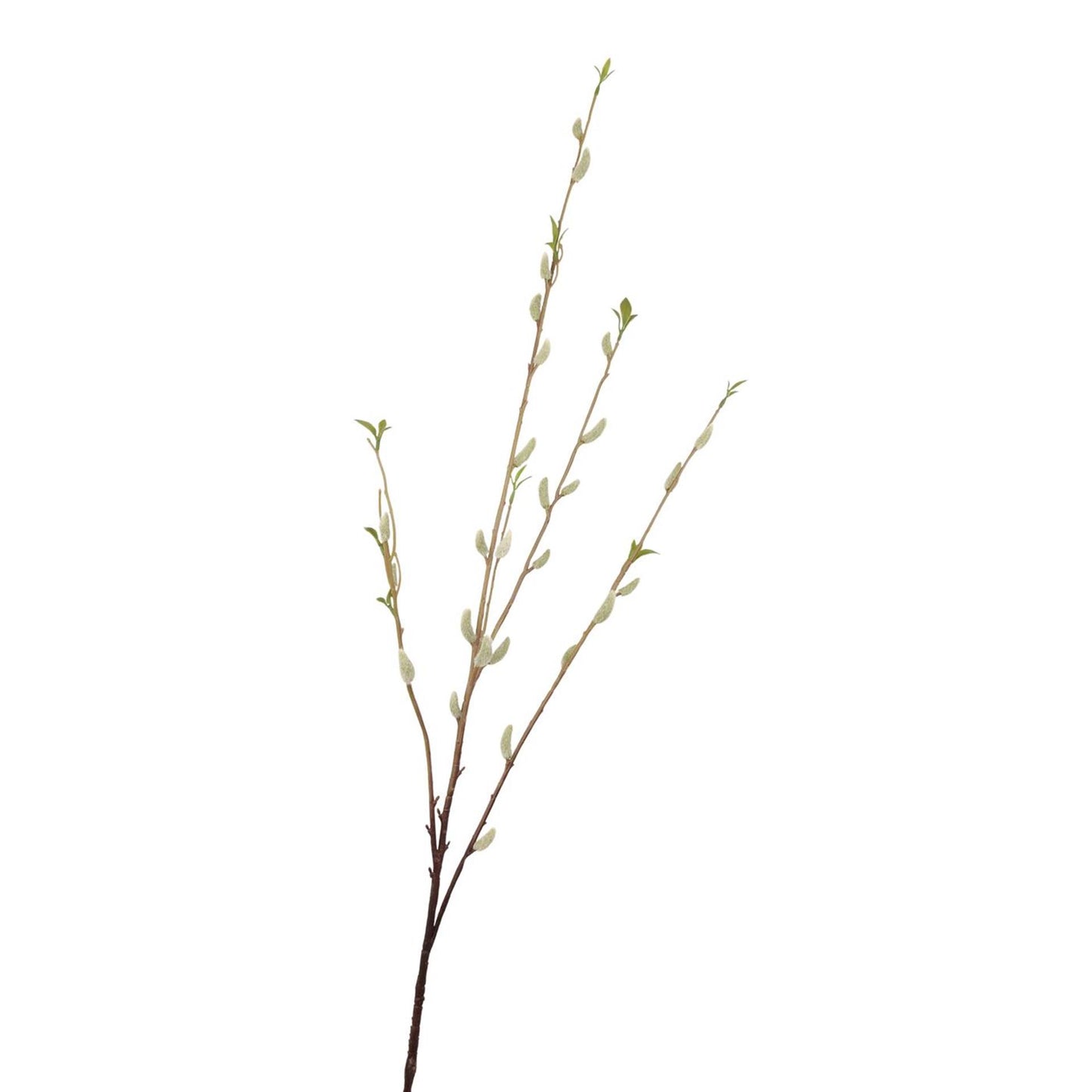 Roberts collection kunsttak katjes crème 114cm