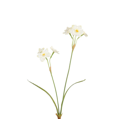 Collezione Roberts fiore artificiale paperwhite bianco 58 cm