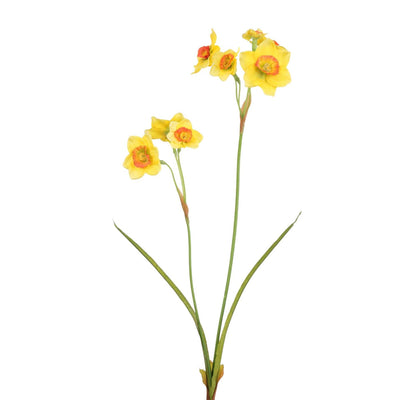 Collezione Roberts fiore artificiale paperwhite giallo 58 cm