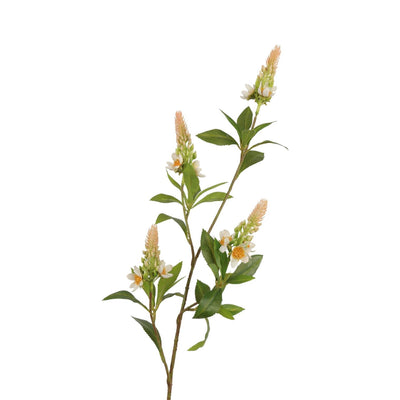 Roberts collection rama artificial pachystachys crema rosa 95cm