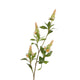 Collezione Roberts ramo artificiale pachystachys crema rosa 95 cm