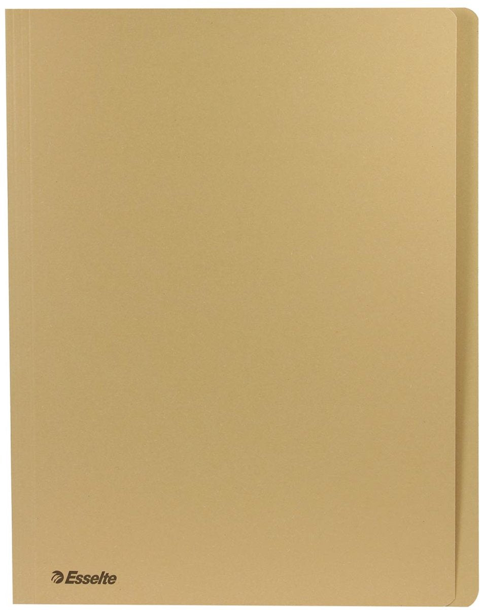 Cartella file Esselte gemme formato A4