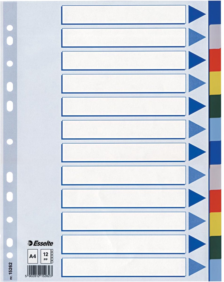 Esselte 10 x tabbladen 12 tabs (15262)