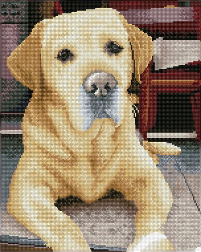 Diamond dotz® pintura de diamante - labrador - 48x58cm - cuadrados