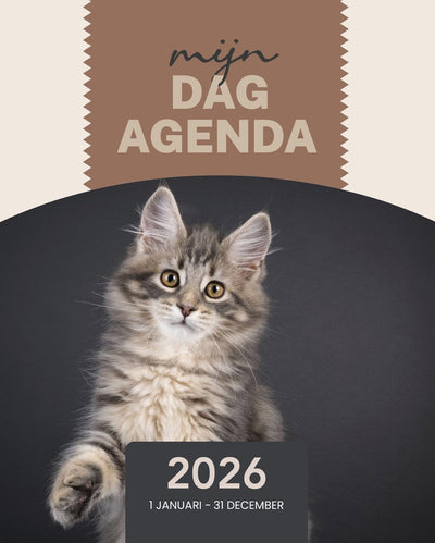 Saam my day agenda 2026 - editorial-agenda-1 página del día-horario diario-estímulo bajo-encuadernación en espiral-tapa dura-letra grande