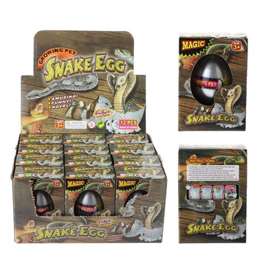 Uovo di crescita del serpente in scatola