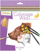 Avenue mandarine coloriage wild 4 - emmanuelle colin - libro da colorare per adulti