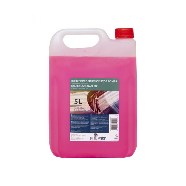Finestra pulita rosa 5 lt