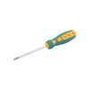 Destornillador Torx 20 x 100 mm.