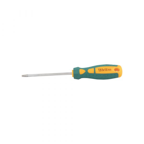 Cacciavite Torx 25 x 100 mm.