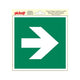 Ruta de escape de pegatinas flecha recta - 200x200 mm.