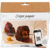 Creativ company mini hobbyset crepepapier klaprozen