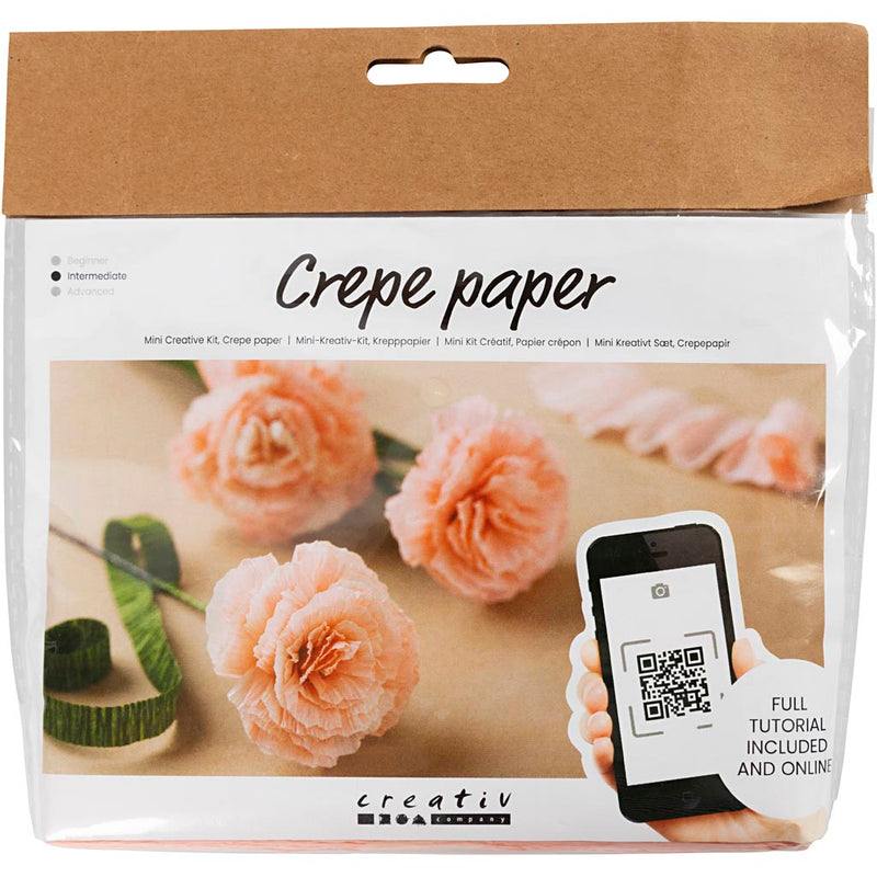 Creativ Company Mini Hobbyset Crepepapier Carnations