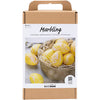 Set hobby Creative Company marmo, rosa, giallo, 1 scatola