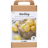 Set hobby Creative Company marmo, rosa, giallo, 1 scatola