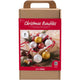 Creativ company hobbyset kerstballen glitter