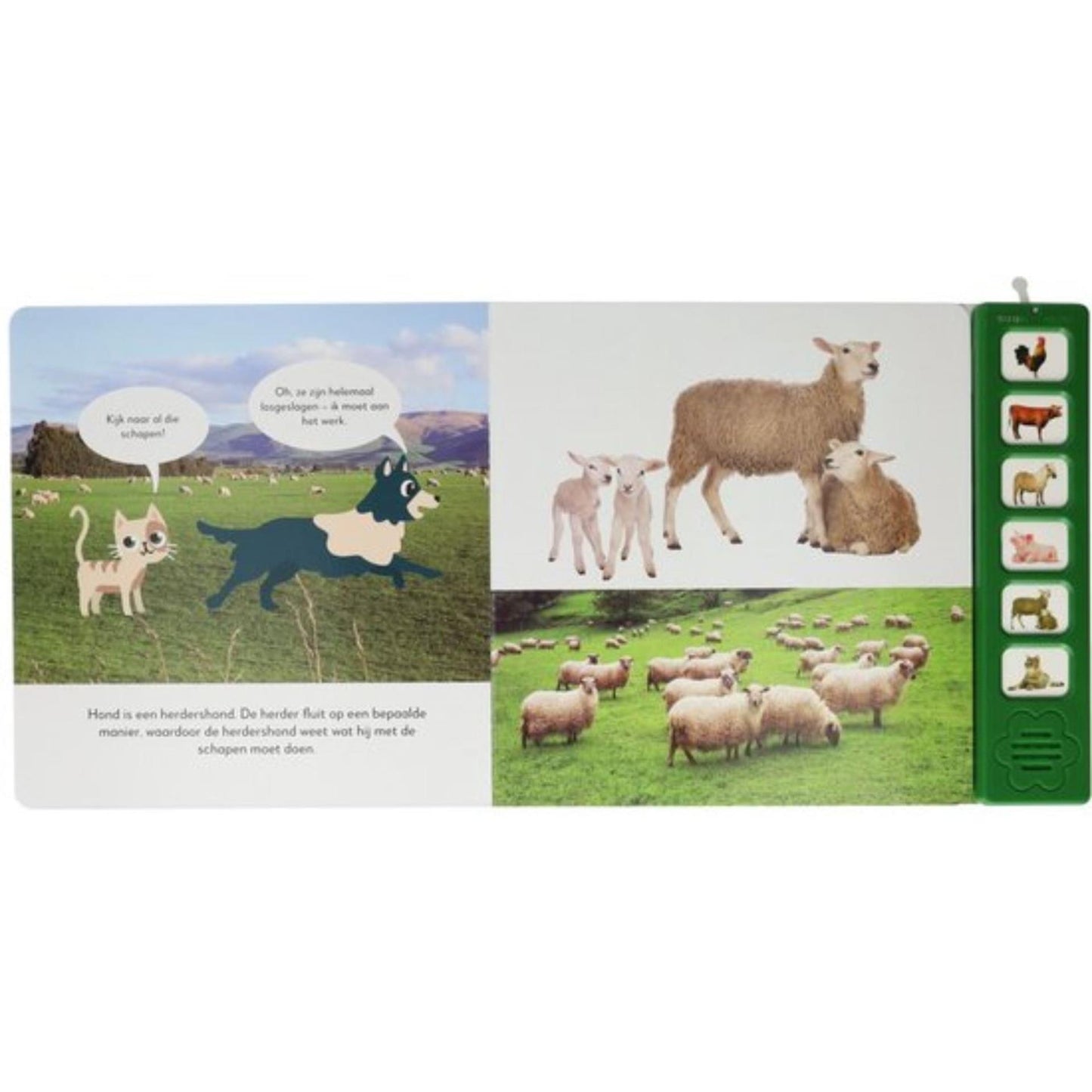 Carte orali Ascolta il libro sound -book degli animali della fattoria