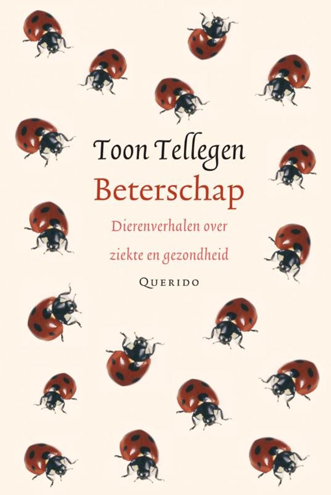 Recuento de espectáculos: recupérate pronto. libro de regalo.