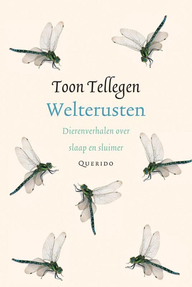 Recuento de espectáculos: buenas noches. libro de regalo
