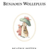 Het verhaal van benjamin wollepluis 4+
