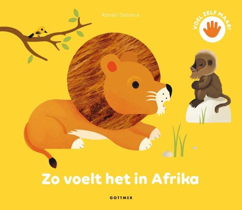 El grupo editorial Gottmer así se siente en África