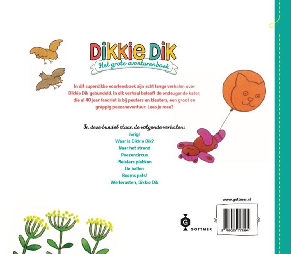 Central book house dikkie dik - the big adventure book