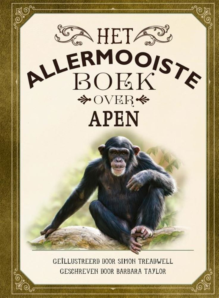 Il libro più bello sulle scimmie 8+