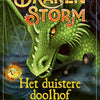 Dragonstorm, il labirinto oscuro. 8+