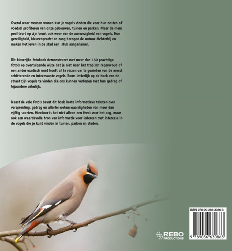 Aves de jardín, parque y ciudad en Europa.
