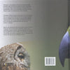 Roofvogels uilen in europa volwassene