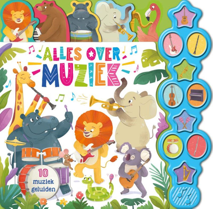 Geluidenboek: alles over muziek. 3+