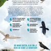 Rebo Editors Vogels Guide and Nature Diary for Children