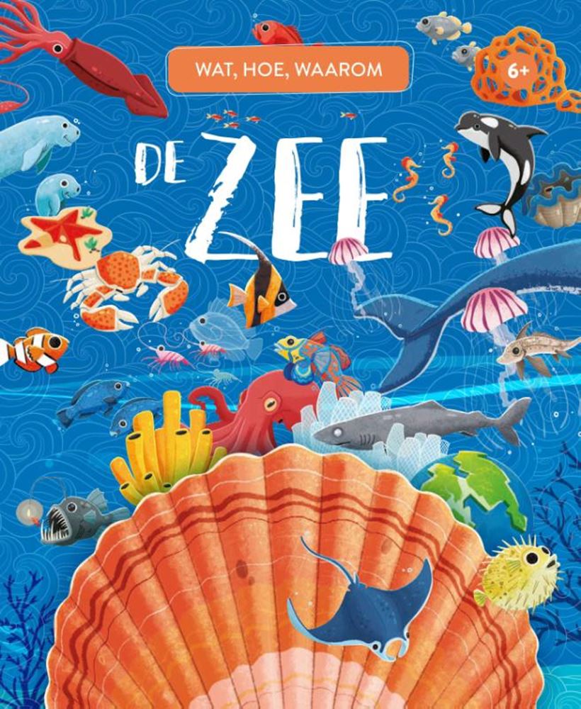 Rebo editores el mar qué, cómo y por qué