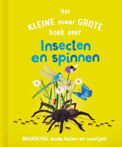 Rebo editori il piccolo ma grande libro su? Spinning di insetti