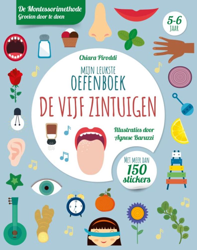 Rebo Publishers Five Senses Leukste Ejercicio Libro