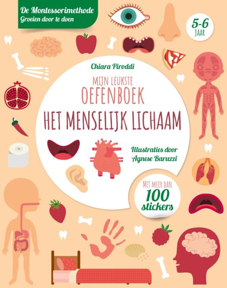Rebo Publishers Human Body Leukste Ejercicio Libro