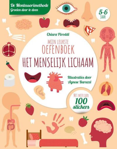 Rebo Publishers Human Body Leukste Exercise Book