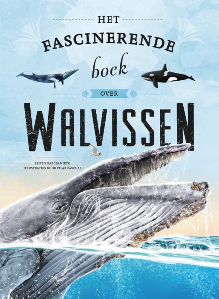 L'affascinante libro sulle balene 6+