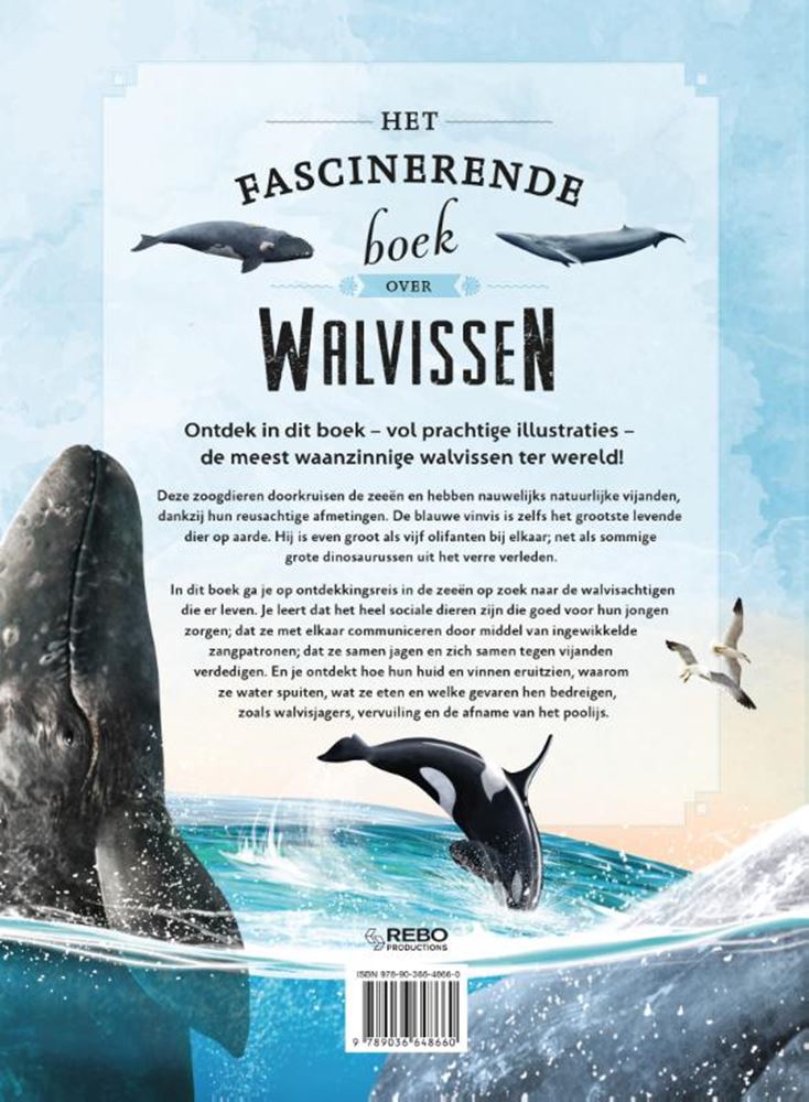 L'affascinante libro sulle balene 6+