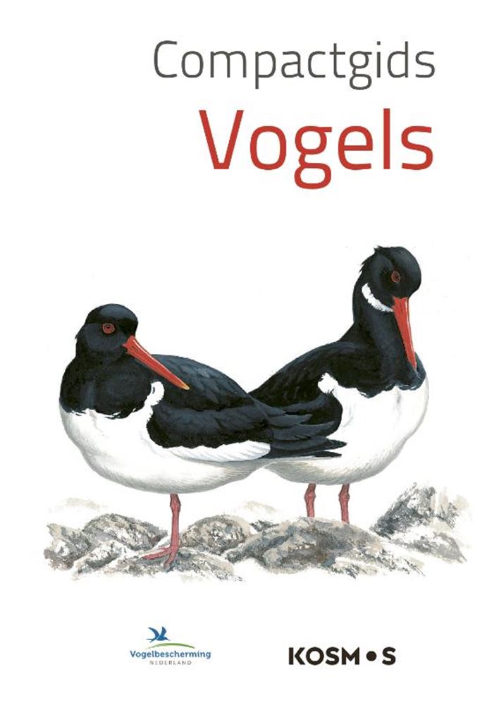 Guida compatta: uccelli (pb)