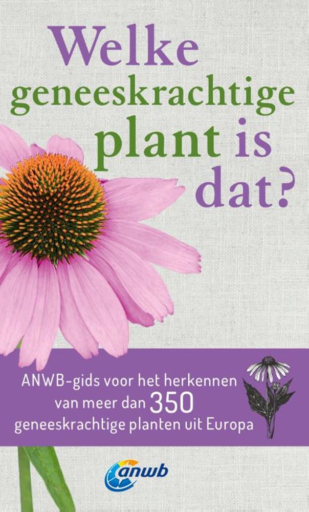 Which medicinal plant is that?