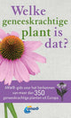 Which medicinal plant is that?