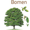 Compactgids bomen volwassene