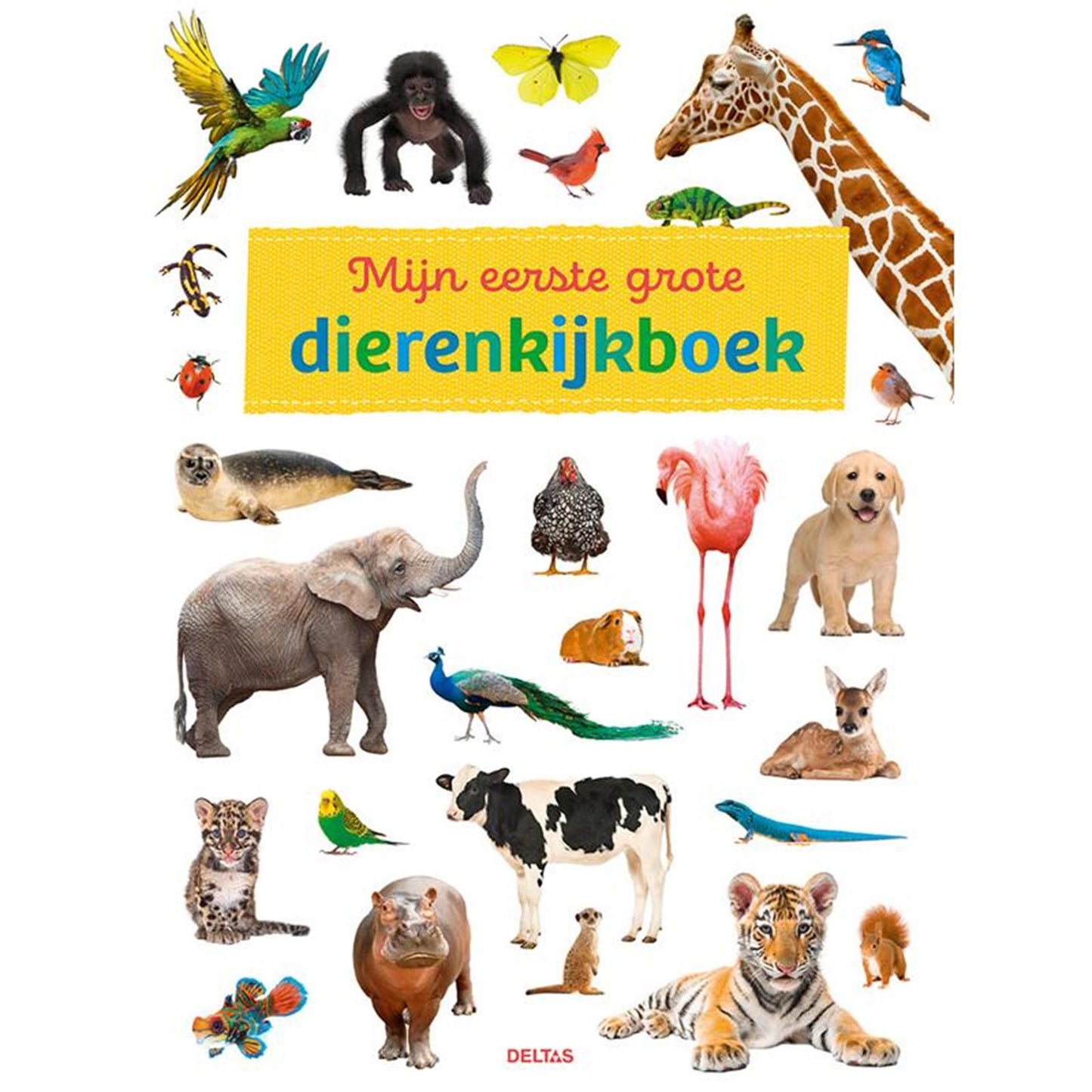 Deltas mi primer libro de visualización de animales grandes